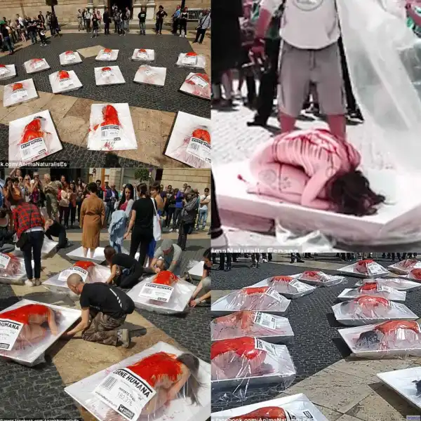 See Spanish animal rights activists turn themselves into packs of human meat, during protest [